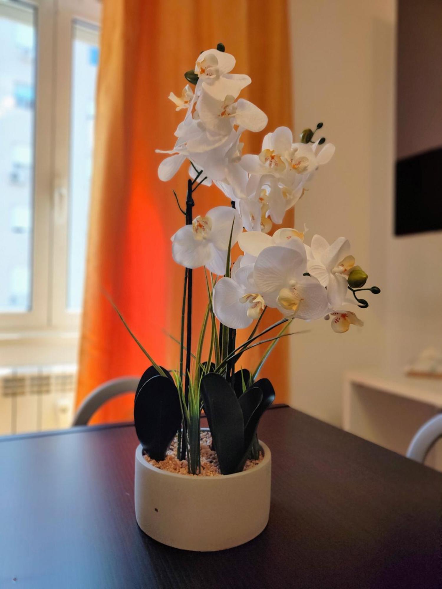 Appartement Casa Roma Marconi Extérieur photo